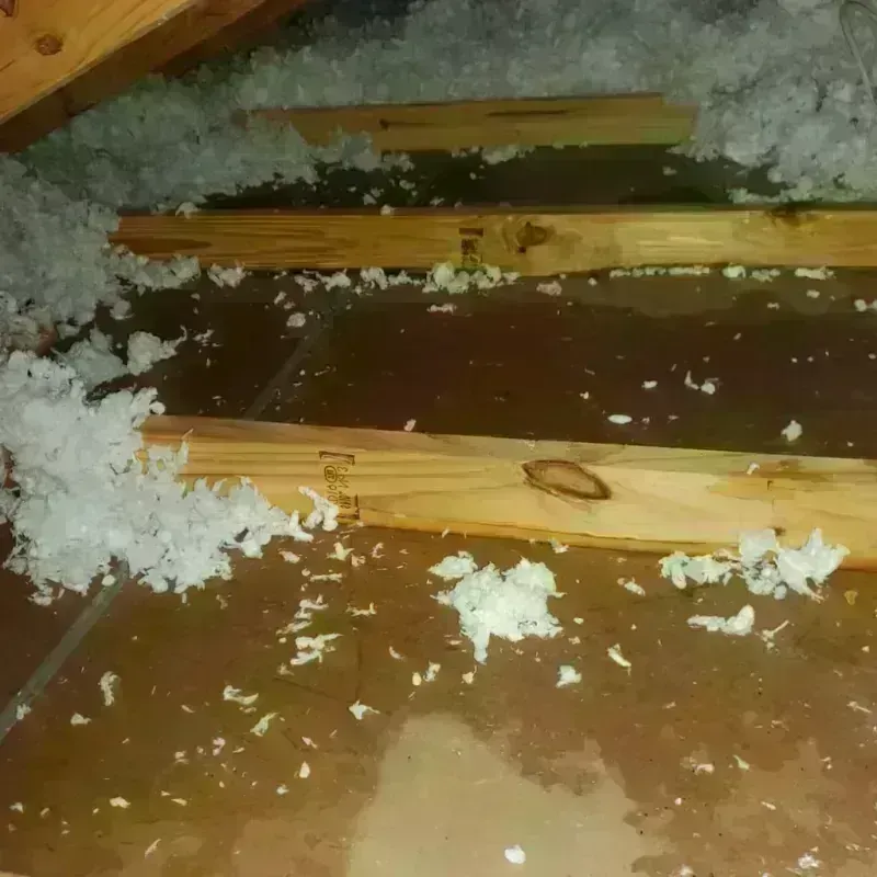 Attic Water Damage in Williamsport, IN