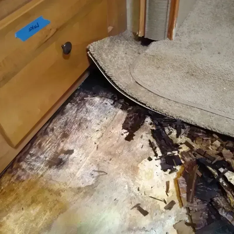 Best Wood Floor Water Damage Service in Williamsport, IN